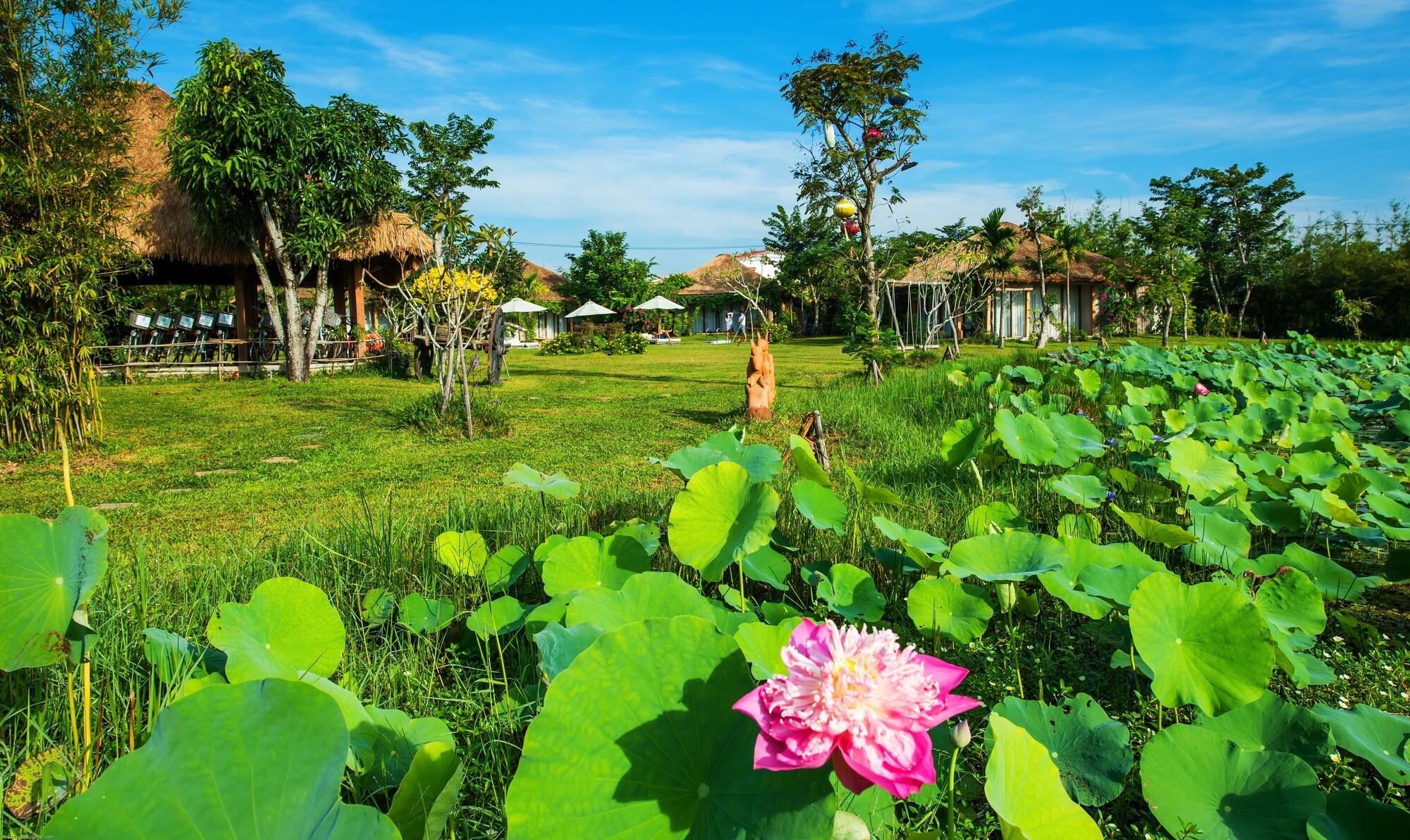 Allamanda Estate Hoi An Eksteriør billede