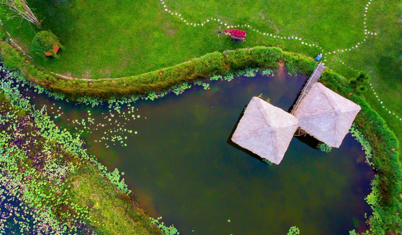 Allamanda Estate Hoi An Eksteriør billede